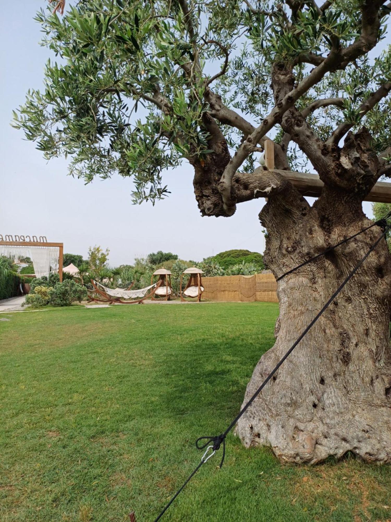 A Casa Del Mercante مونوبولي المظهر الخارجي الصورة